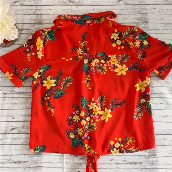 Lilly White - Picture 3 of 4